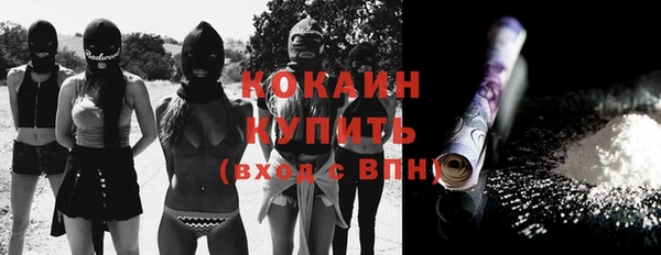 сатива Медногорск