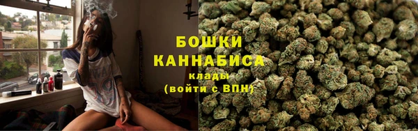 сатива Медногорск