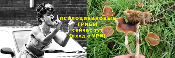 сатива Медногорск
