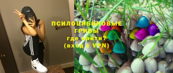 сатива Медногорск