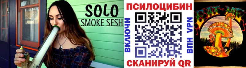 Псилоцибиновые грибы Psilocybe  mega tor  Тула 